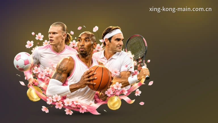 xingkong欧洲杯在线看 · 高清直播看球